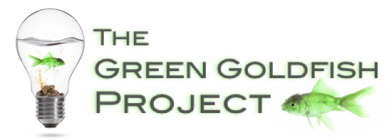 green-goldfish-project-with-bulb