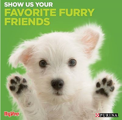 Share Images on Facebook, Not&nbsp;Videos