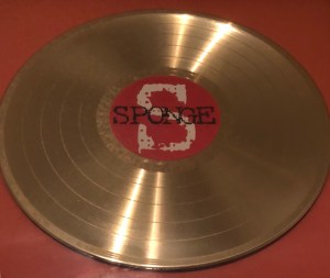 Sponge Rotting Piñata